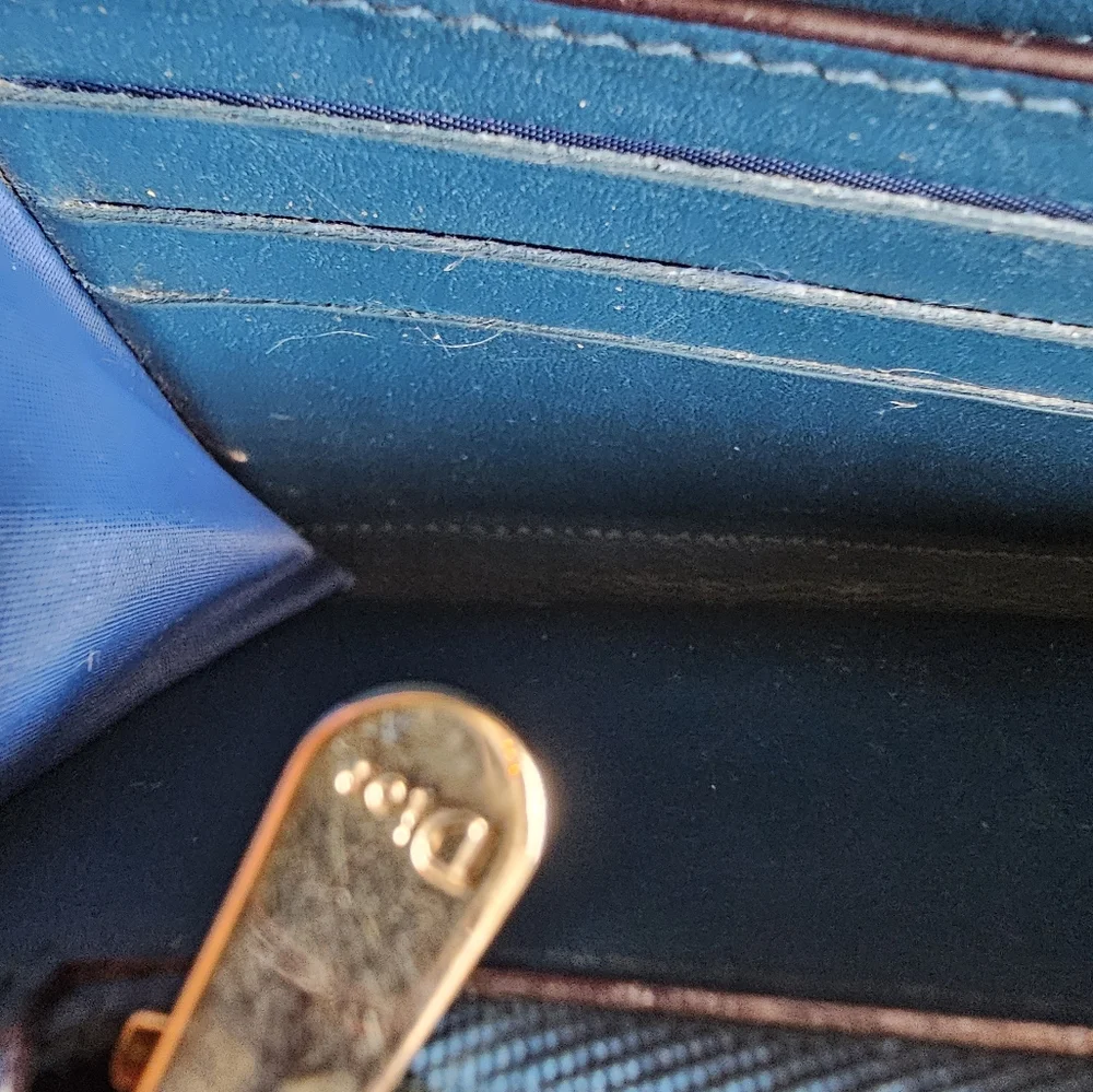 Euc Dior Long Wallet